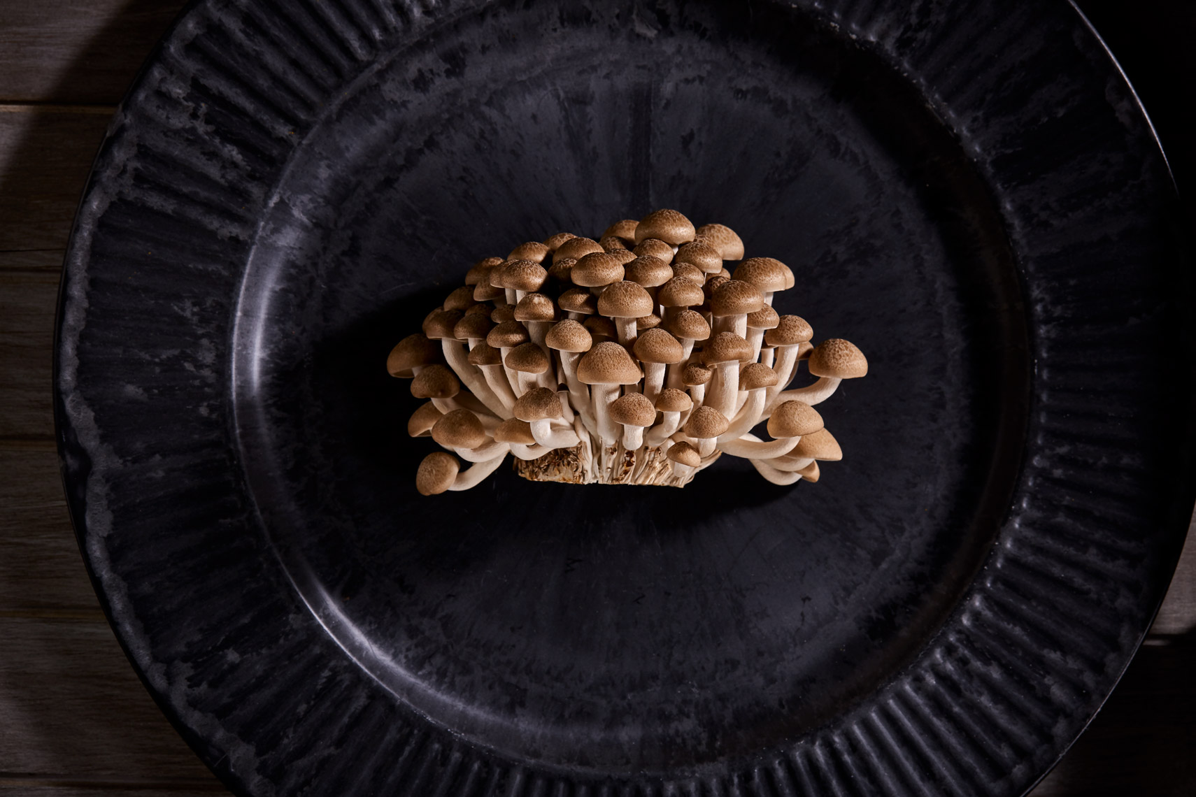 AlanCampbellPhotography, Brown Clam Shell mushrooms still life