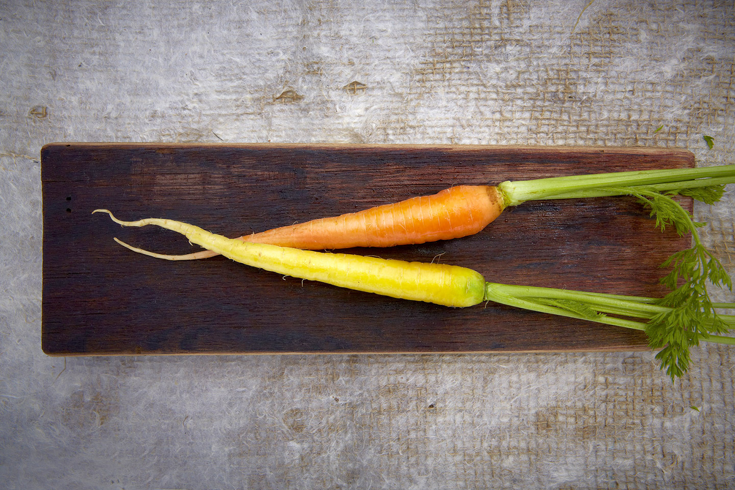 AlanCampbellPhotography, young carrots garden life ingredients