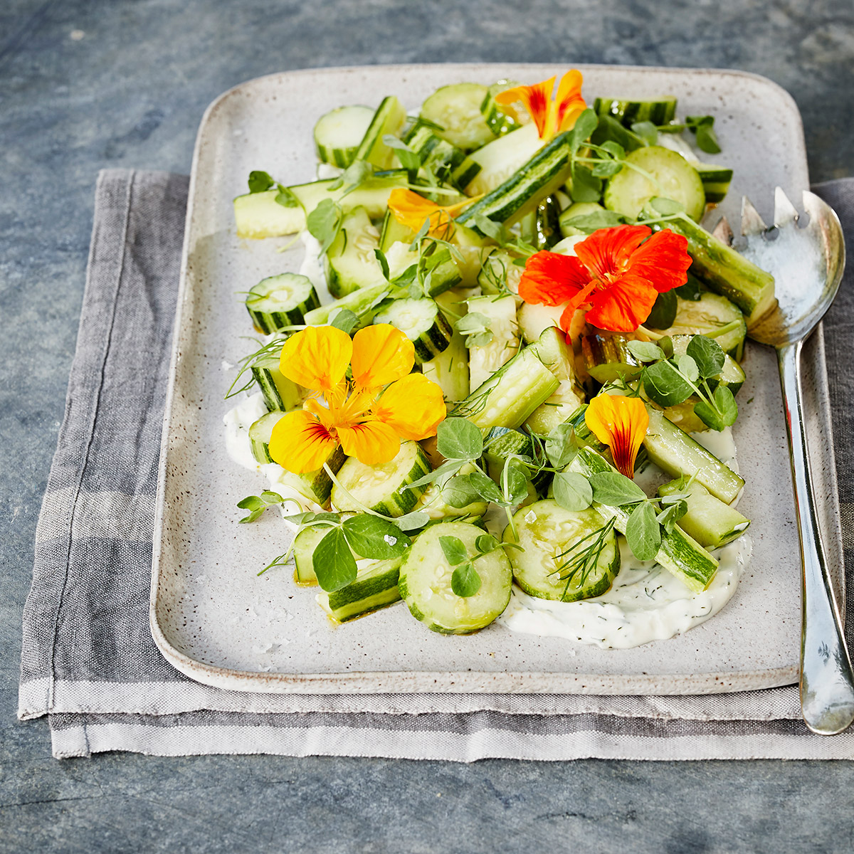 Cucumber-Dill