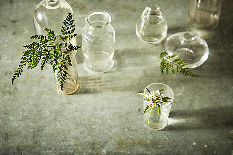 AlanCampbellPhotography, Glass with Fern still life