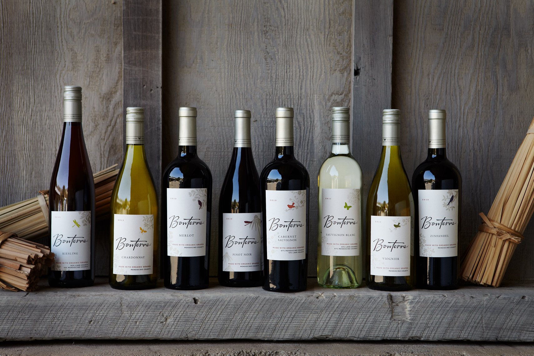 AlanCampbellPhotography, Group-Bonterra line up in Bonterra barn