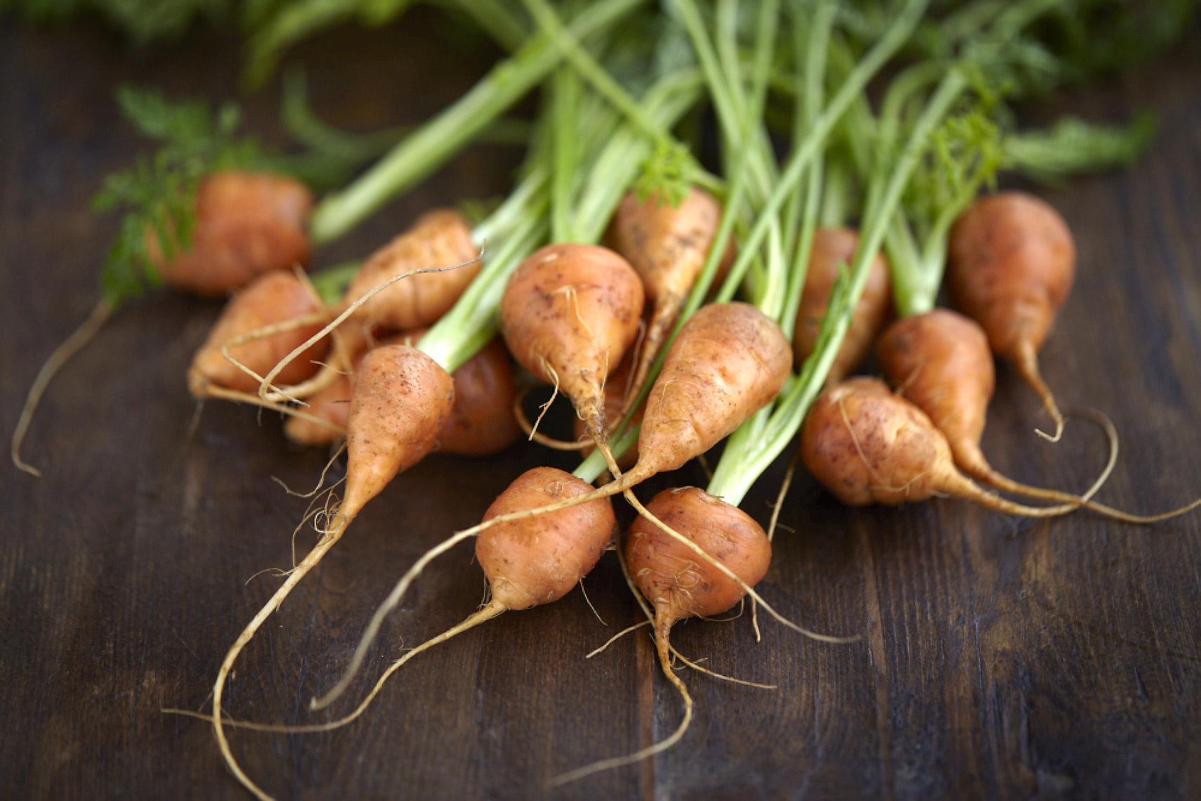 AlanCampbellPhotography, fresh ingredients carrots