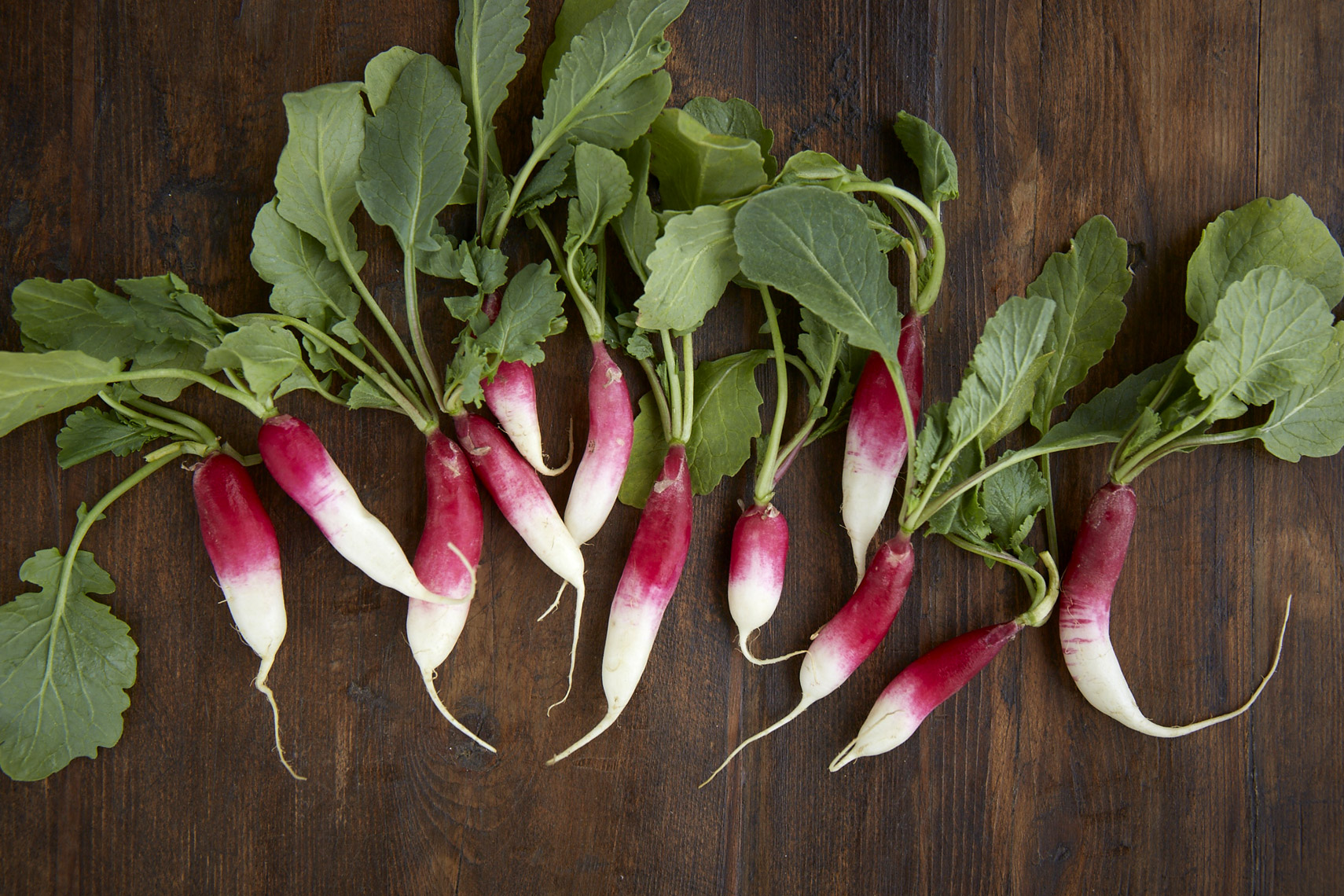 AlanCampbellPhotography, fresh ingredients from the garden Radishes