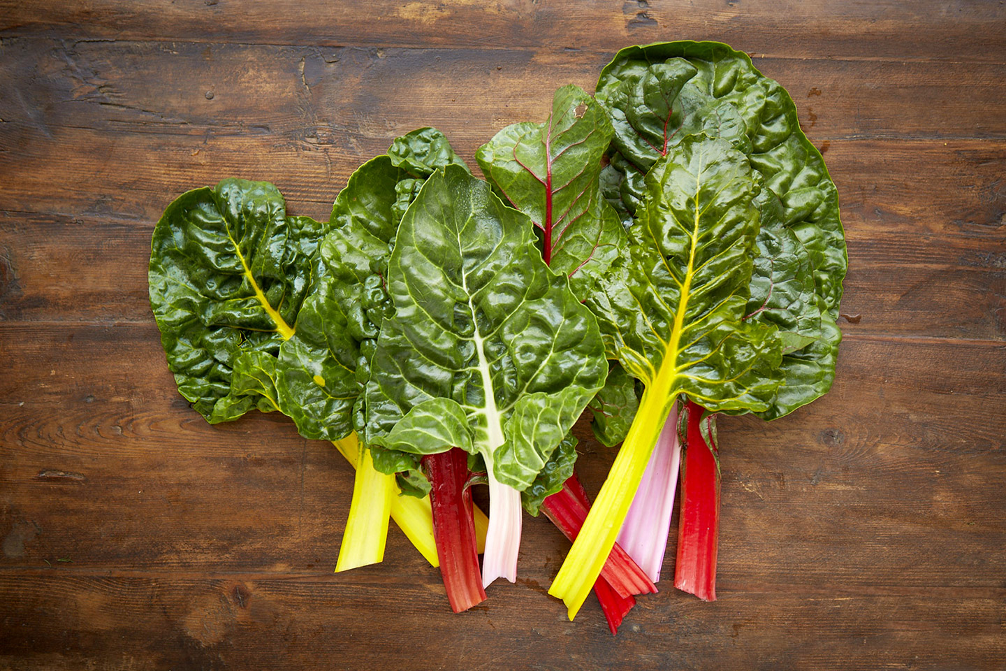 AlanCampbellPhotography,  fresh ingredients  from the garden Rainbow-Chard