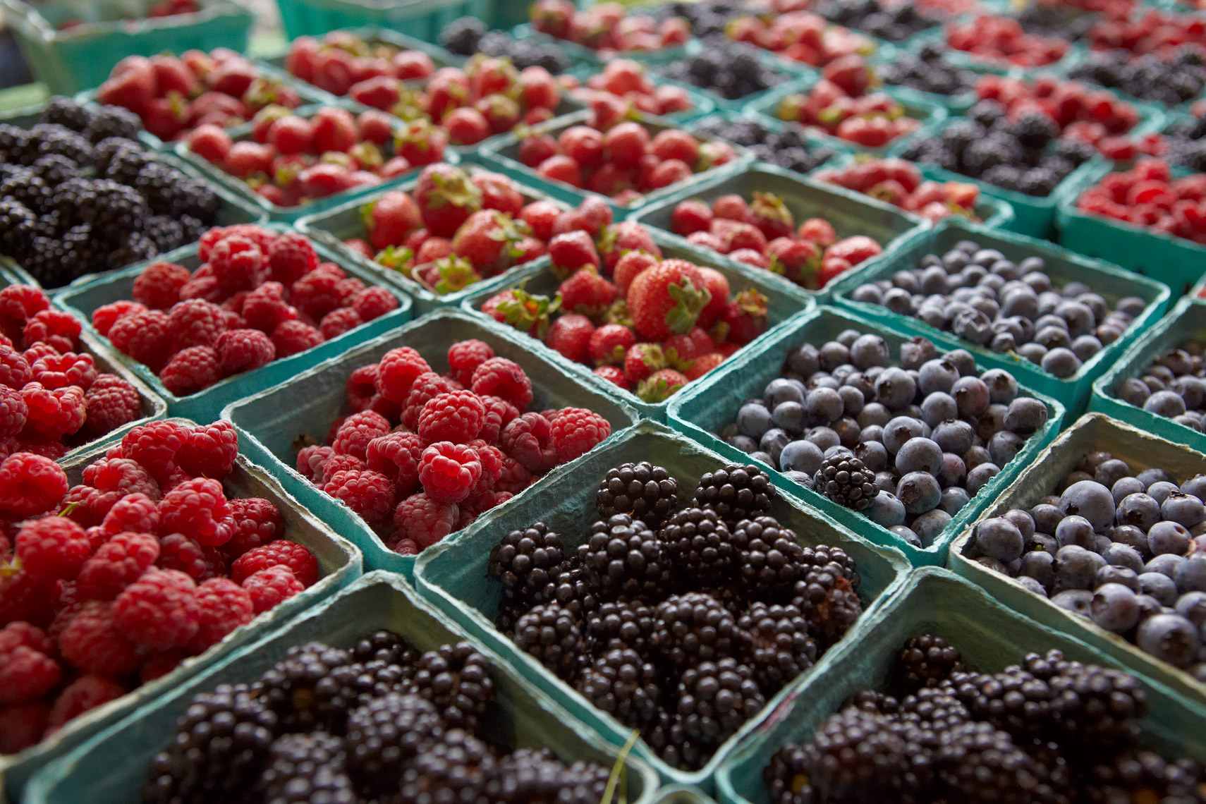 AlanCampbellPhotography, variety of fresh berries