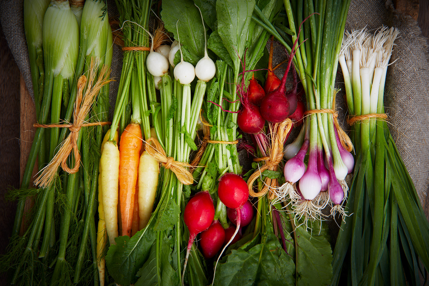 fresh-veggy-ingredients