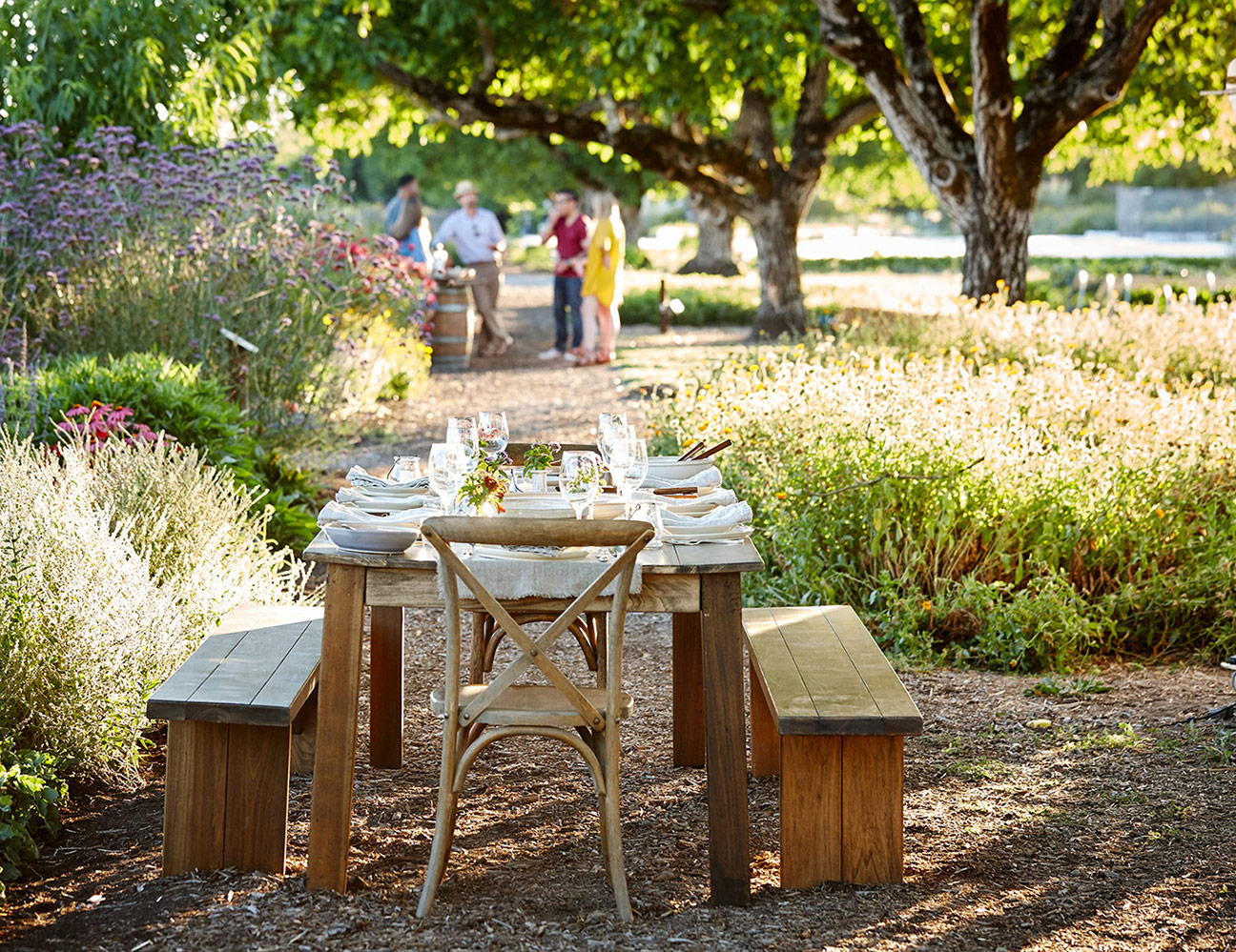 AlanCampbellPhotography, sonoma county lifestyle dining outdoors